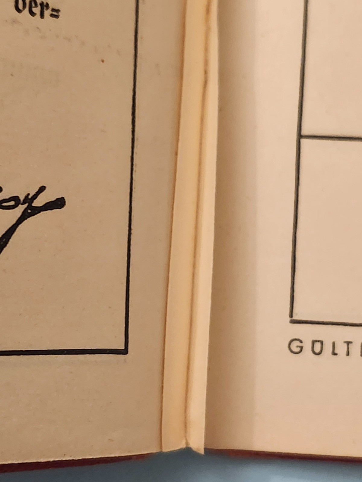 WW2 Germany. "NSZ WESTMARK" newspaper book.