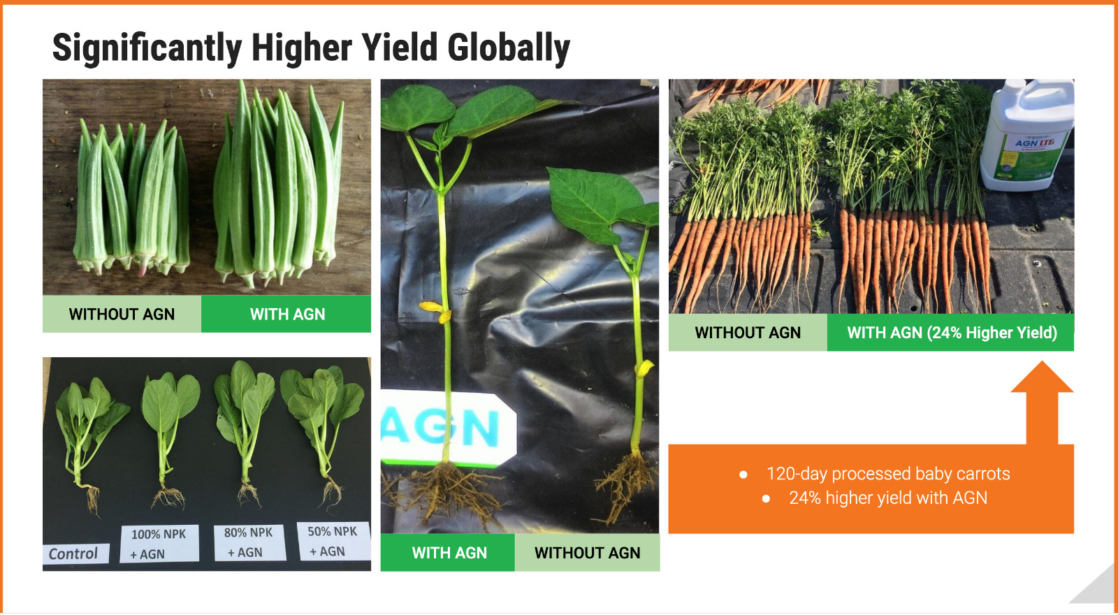 CISBAY AGN Soil Microbes - Enhance nutrient for long root plants 1 gallon