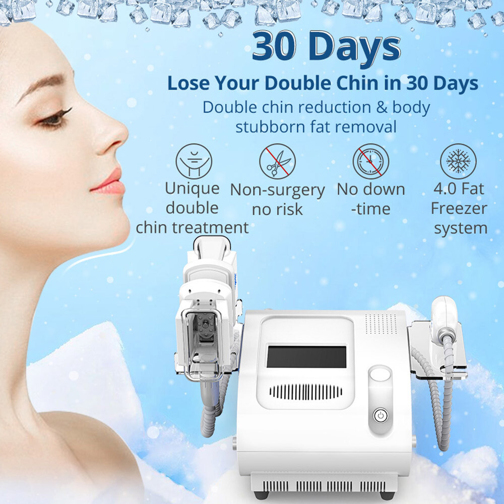 3 Handles Cold Beauty Machine 1 Chin handle+2 Body handle