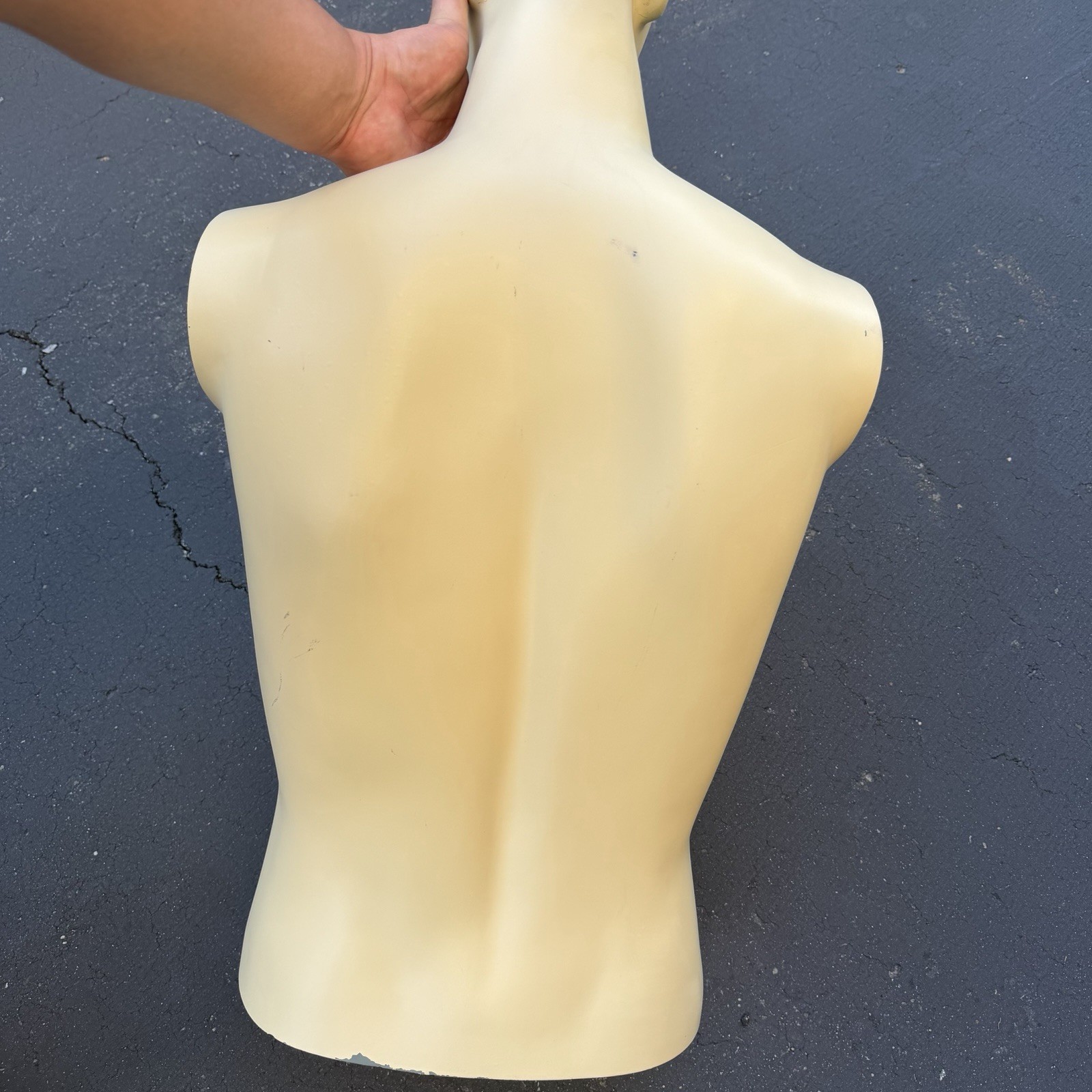 Lady Lulu Vintage Mannequin Torso Head Male Man Muscle Blue Spike Hair Smiling