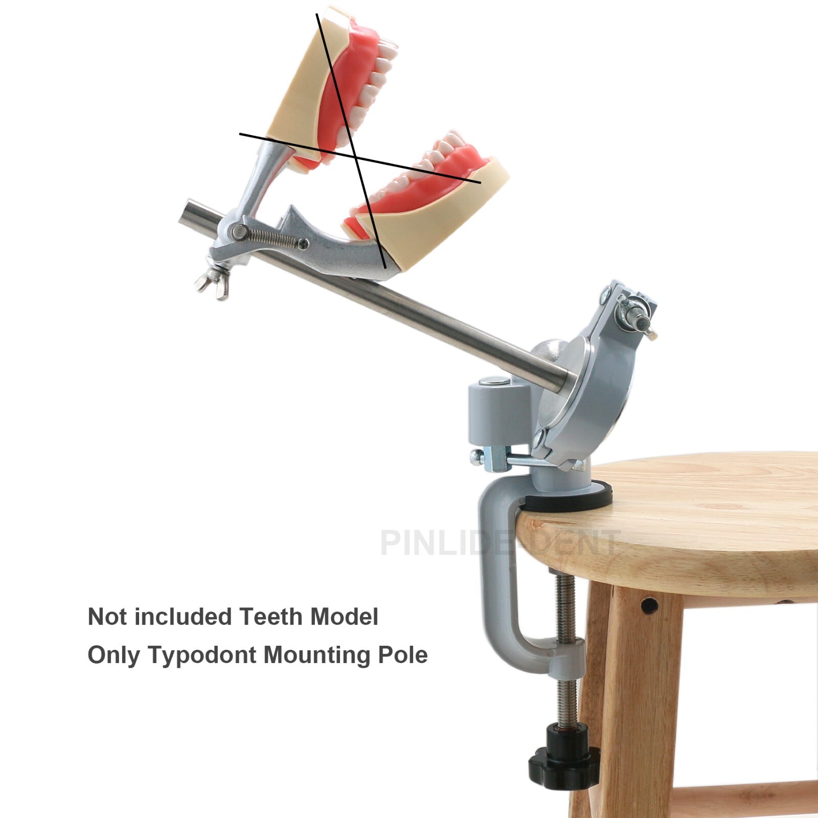 US Columbia Type Dentoform Typodont Mounting Pole Dental Pole Mount Holder