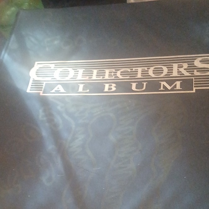 MYSTERY BINDER filled with sport cards