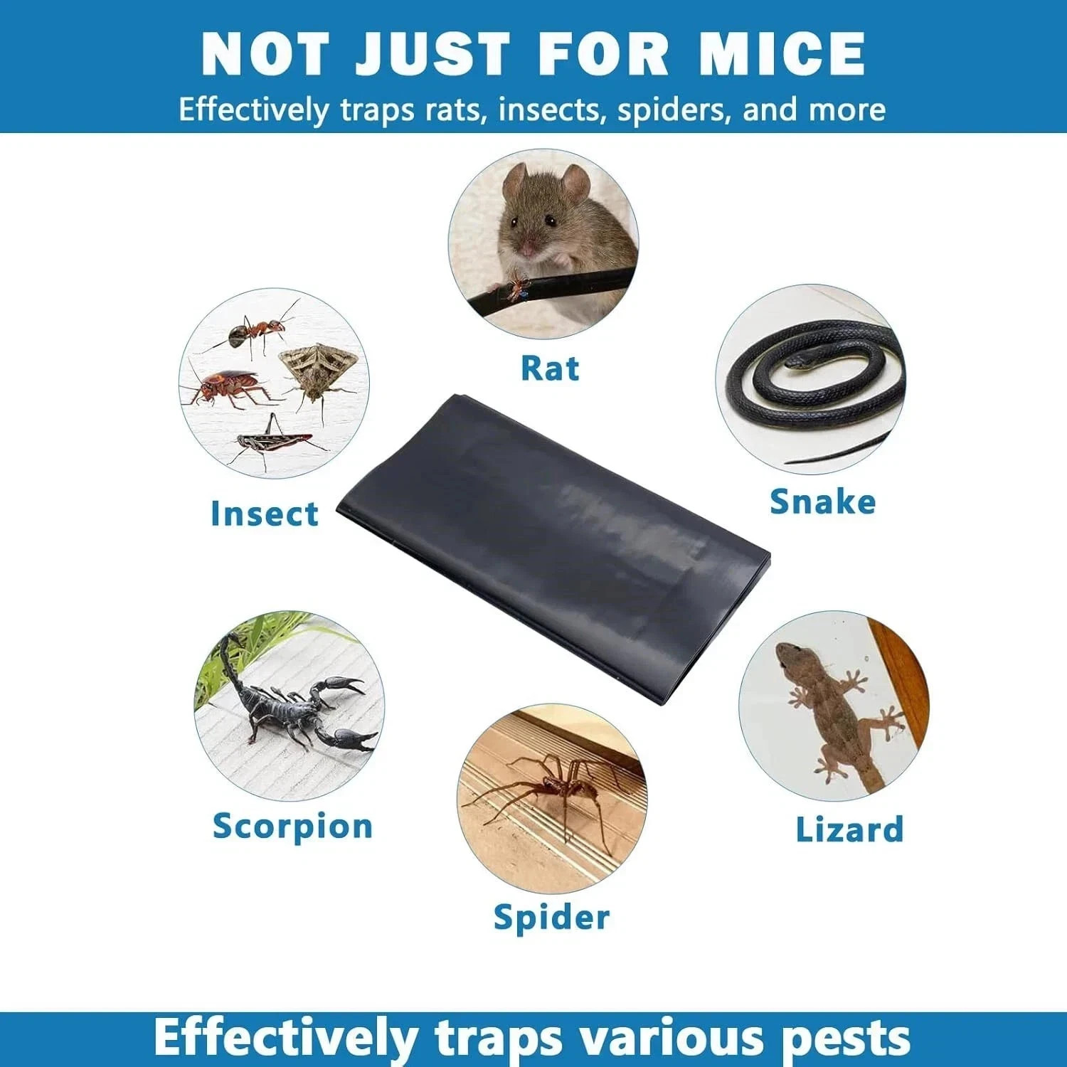 6 Pack Large Mice Mouse Glue Traps Rodent Catcher Rat Board Indoor Super Sticky