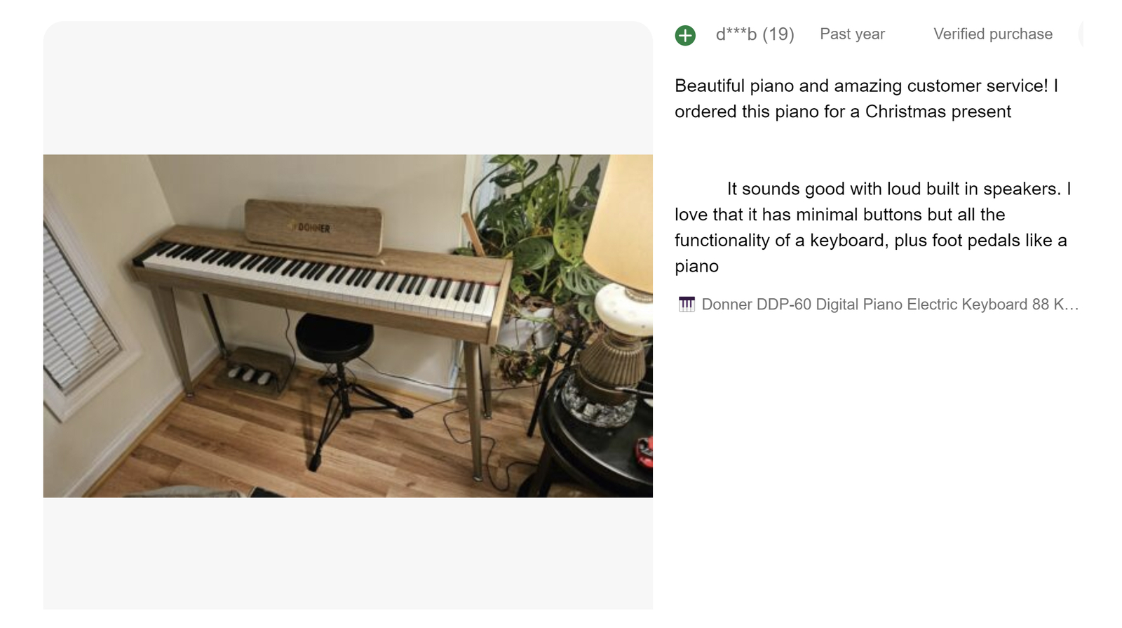 Donner DDP-60 Digital Piano Keyboard with Stand Pedal, Natural