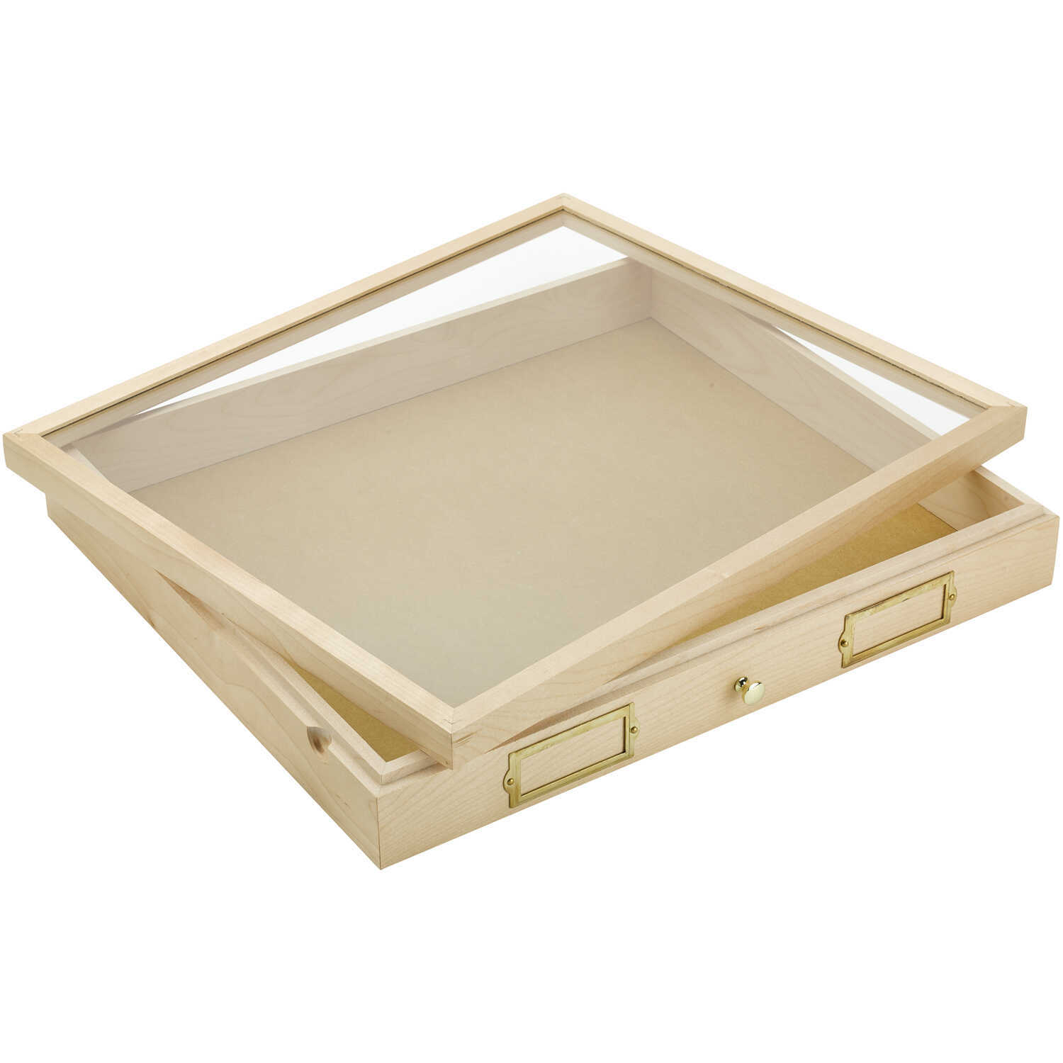 Cornell University Insect Cabinet Drawer