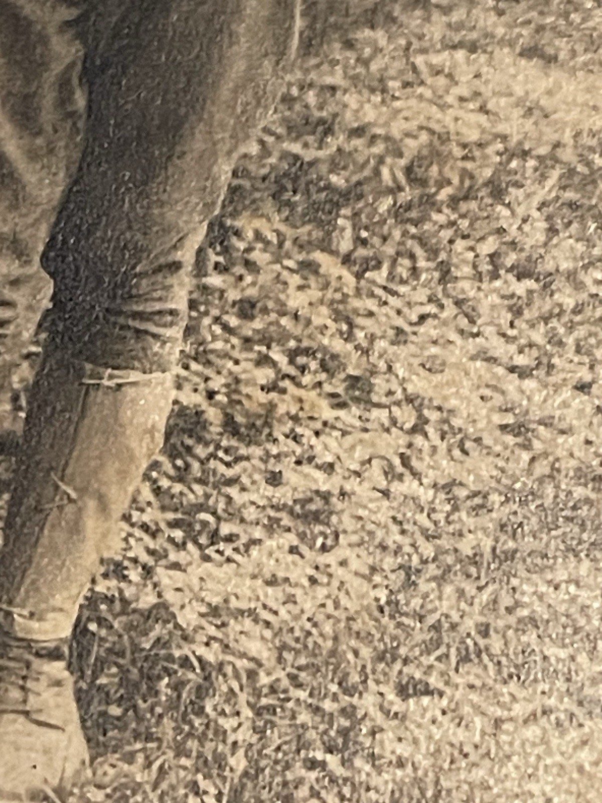 WW1 Photograph Young Military Soldier In Uniform With Medal & Hat - Sepia Color