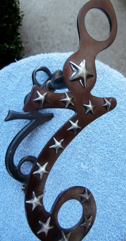 Gary Avila Seven Cheek Silver Stars Centennial Iron Horse Bit
