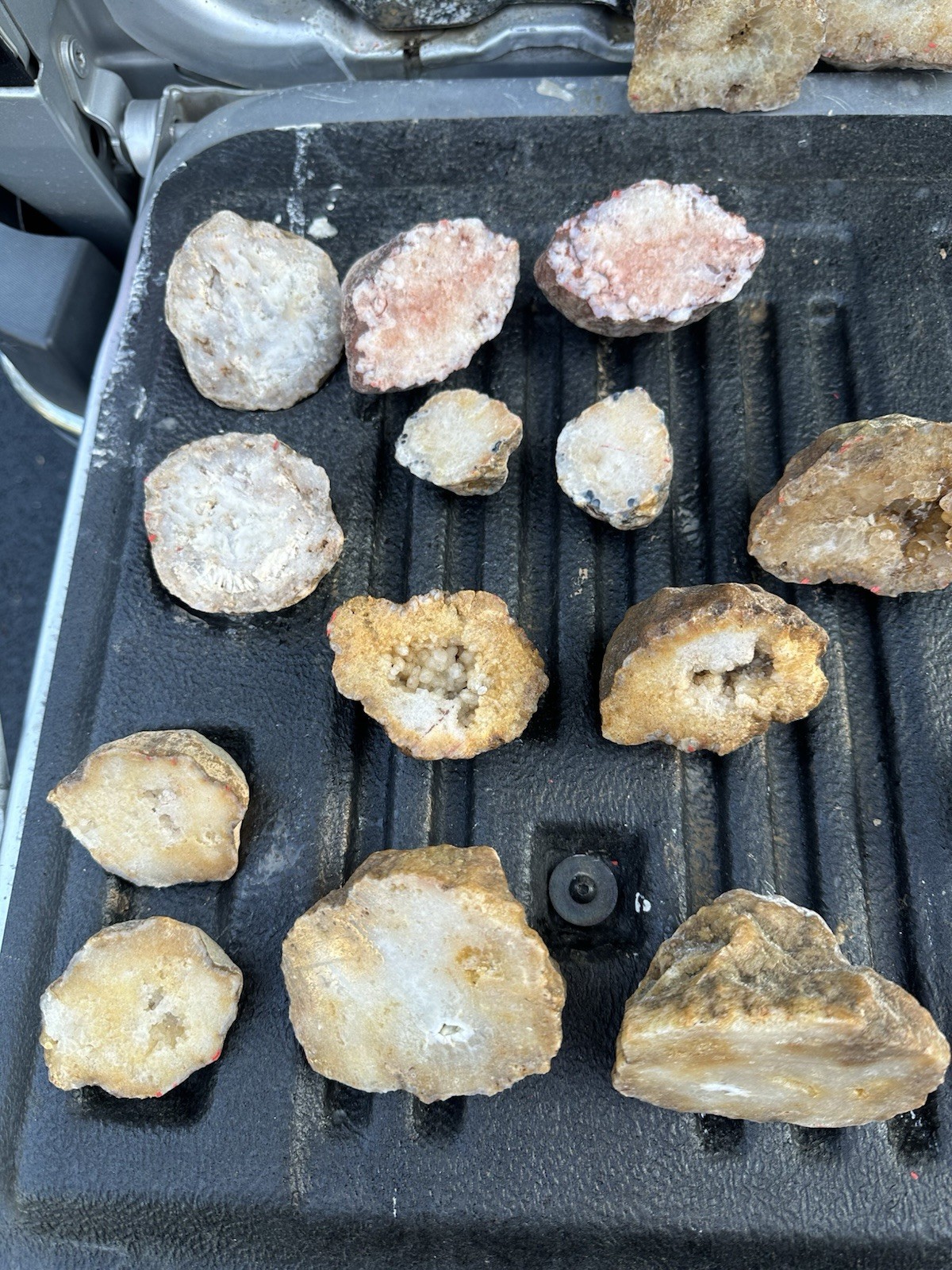Box Of 10 Whole Natural Kentucky Geodes. FAST FREE SHIPPING! Read Description.