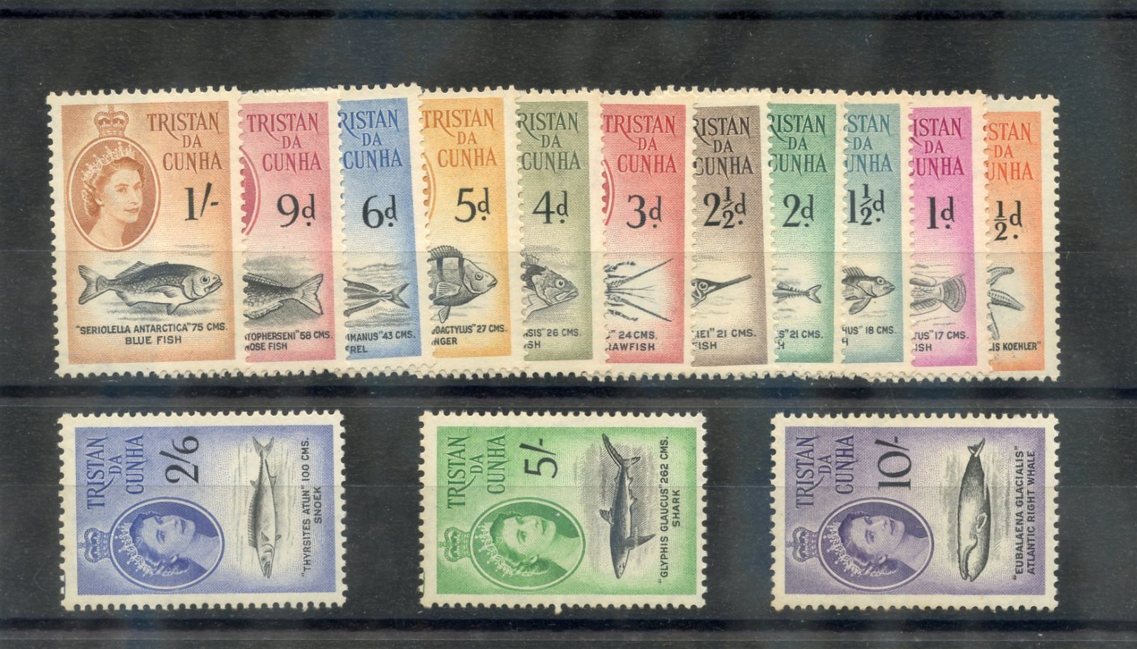 TRISTAN DA CUNHA Sc 28-41(SG 28-41)*F-VF LH 1960 MARINE LIFE SET $150