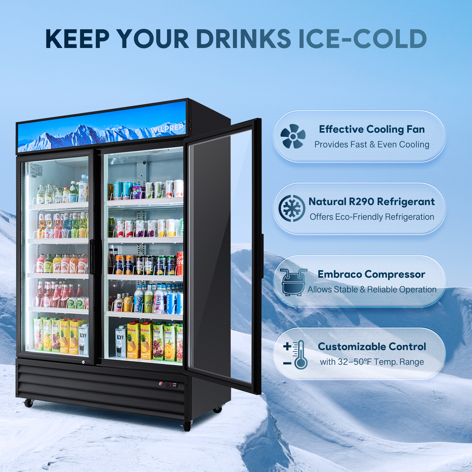 Commercial Merchandiser 2 Glass Door Cooler Display Refrigerator 40 Cu.Ft. ETL