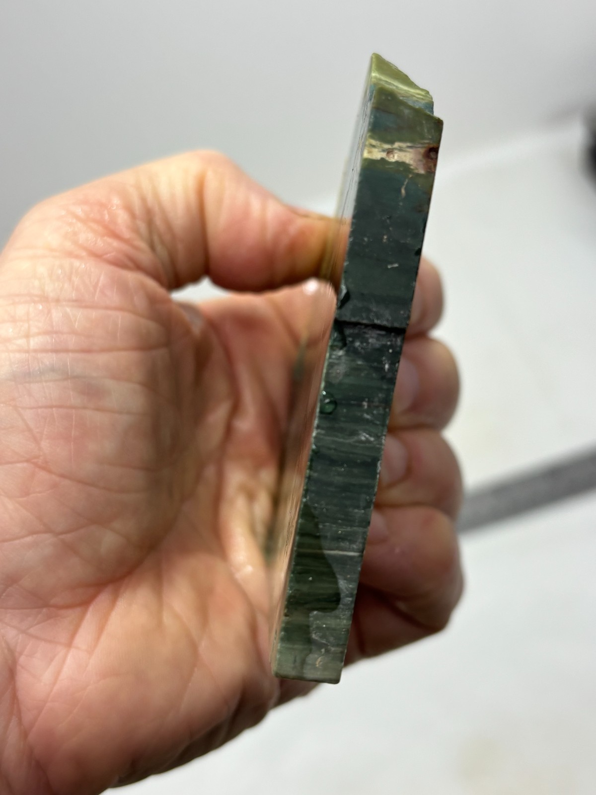 Gary Green Caldera Freedom Jasper Slab Cabbing Lapidary Combo Ship Avail