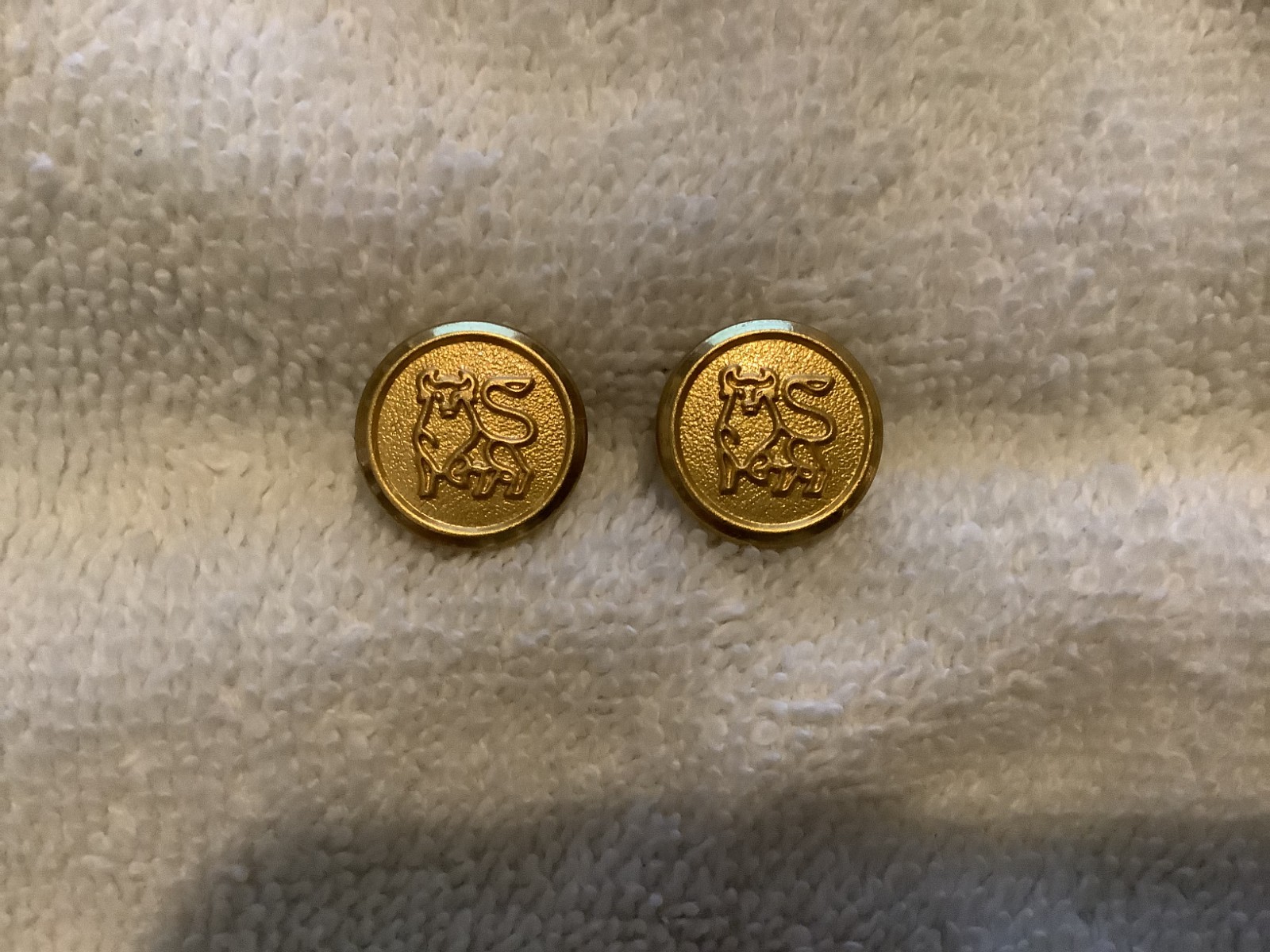 Lot of 10 Vintage Merrill Lynch Bull Logo Jacket Buttons Waterbury Co.