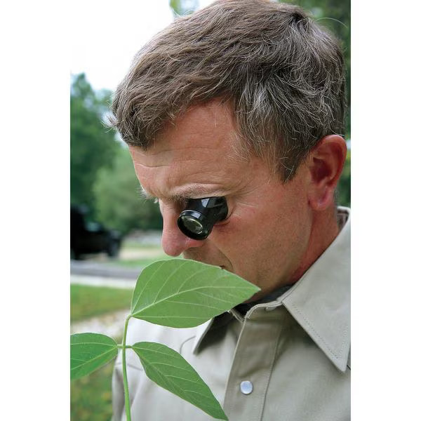 Bausch + Lomb Watchmakers Loupe,Size 10X 81-41-70 Bausch + Lomb 81-41-70