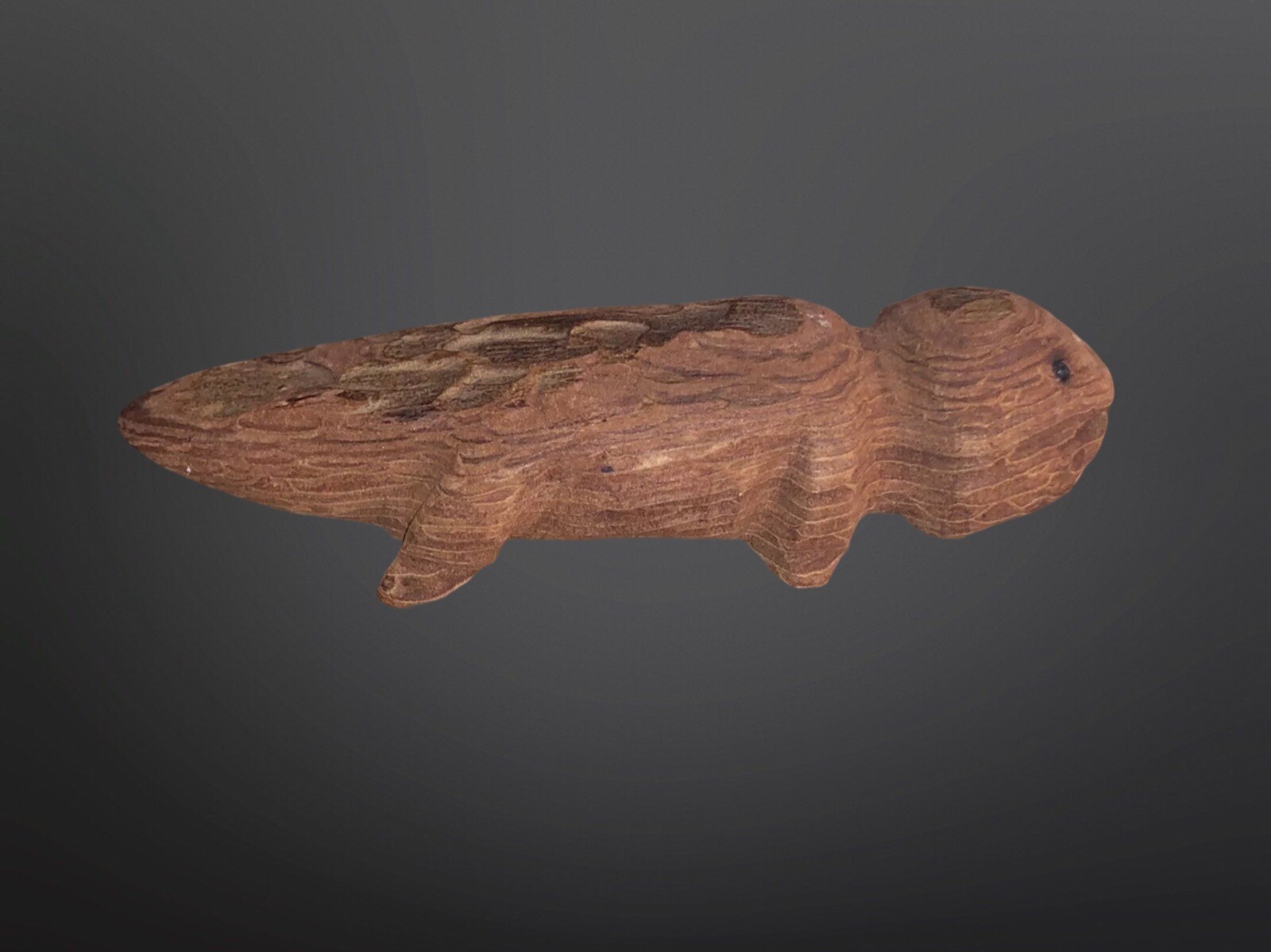 Circa 1910 Native American Tarahumara Carved Wood Lizard Fetish