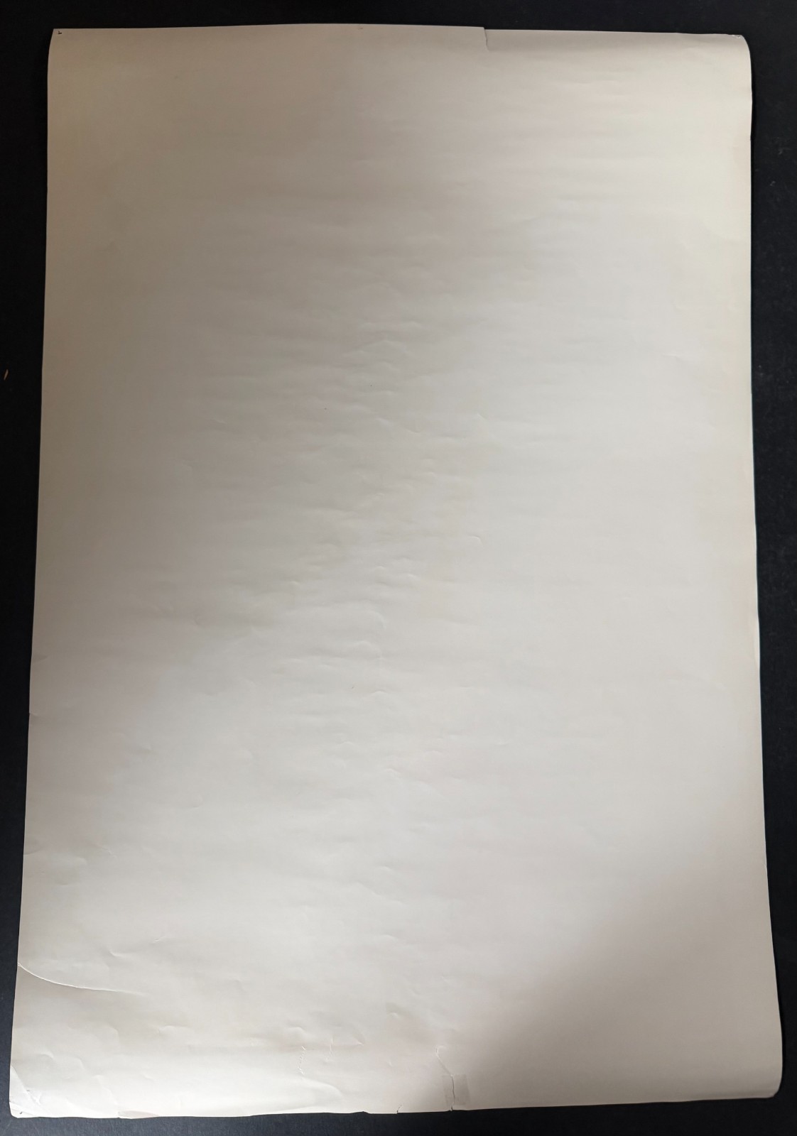 Vintage Jimi Hendrix Concert Poster Shrine Auditorium Los Angeles Music