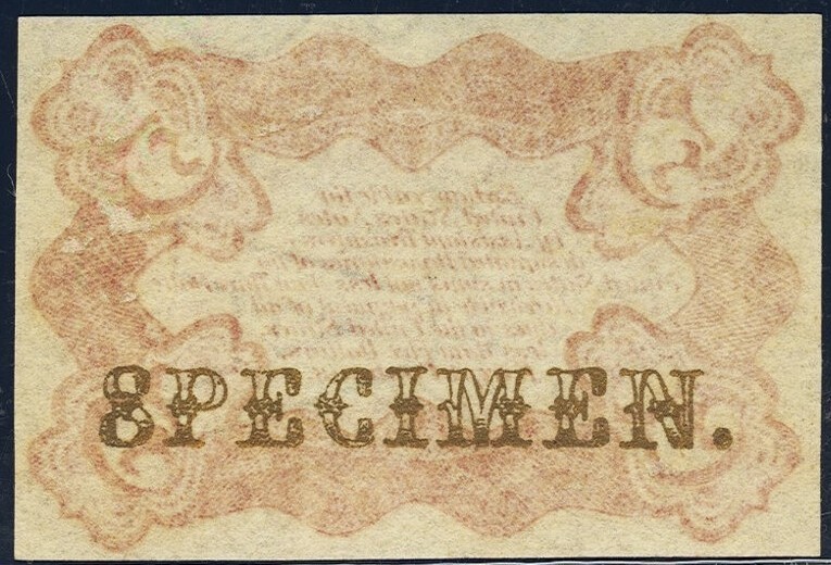 FR 1236spnmb - 5c THIRD ISSUE SPECIMEN - NARROW MARGINS BACK - PMG 64 FREE SHIP!