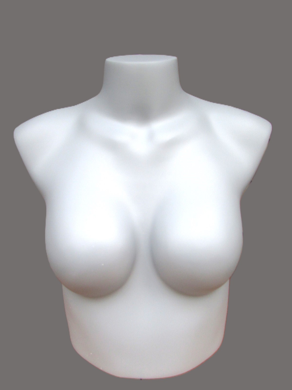 New Fusion Specialties Female Torso Bust Bra Gray Mannequin Clothing Display