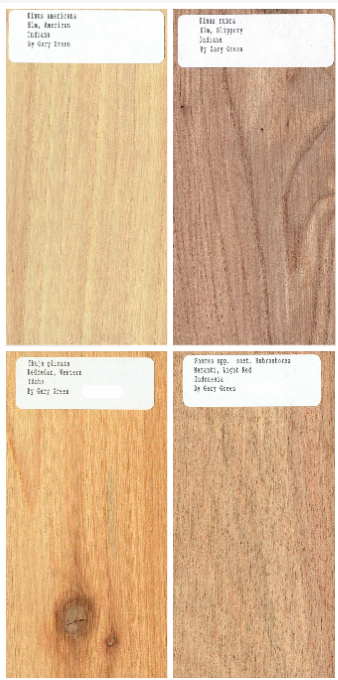 40 pc. Set of 1/2 x 3 x 6" Wood Samples for Collecting, Knife Scales, etc. Set 1