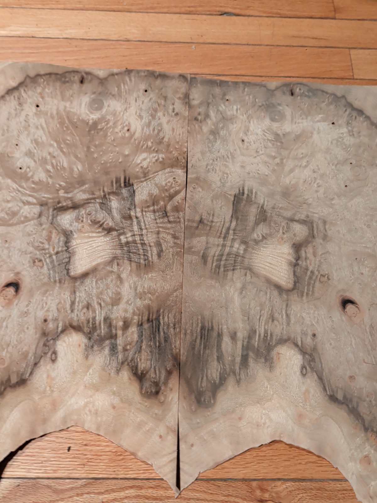 Myrtlewood burl veneer 2 pieces 18 1/4" x 11 5/8" each wood 1/42" raw