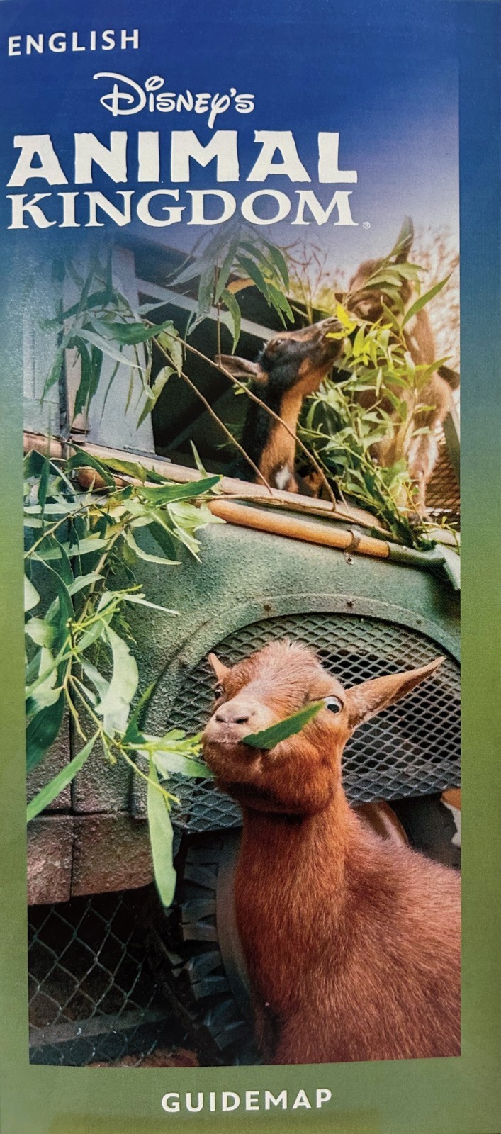 Walt Disney World Theme Park Maps 4 Guide Maps + 4 Fun For Families w Kids 2025