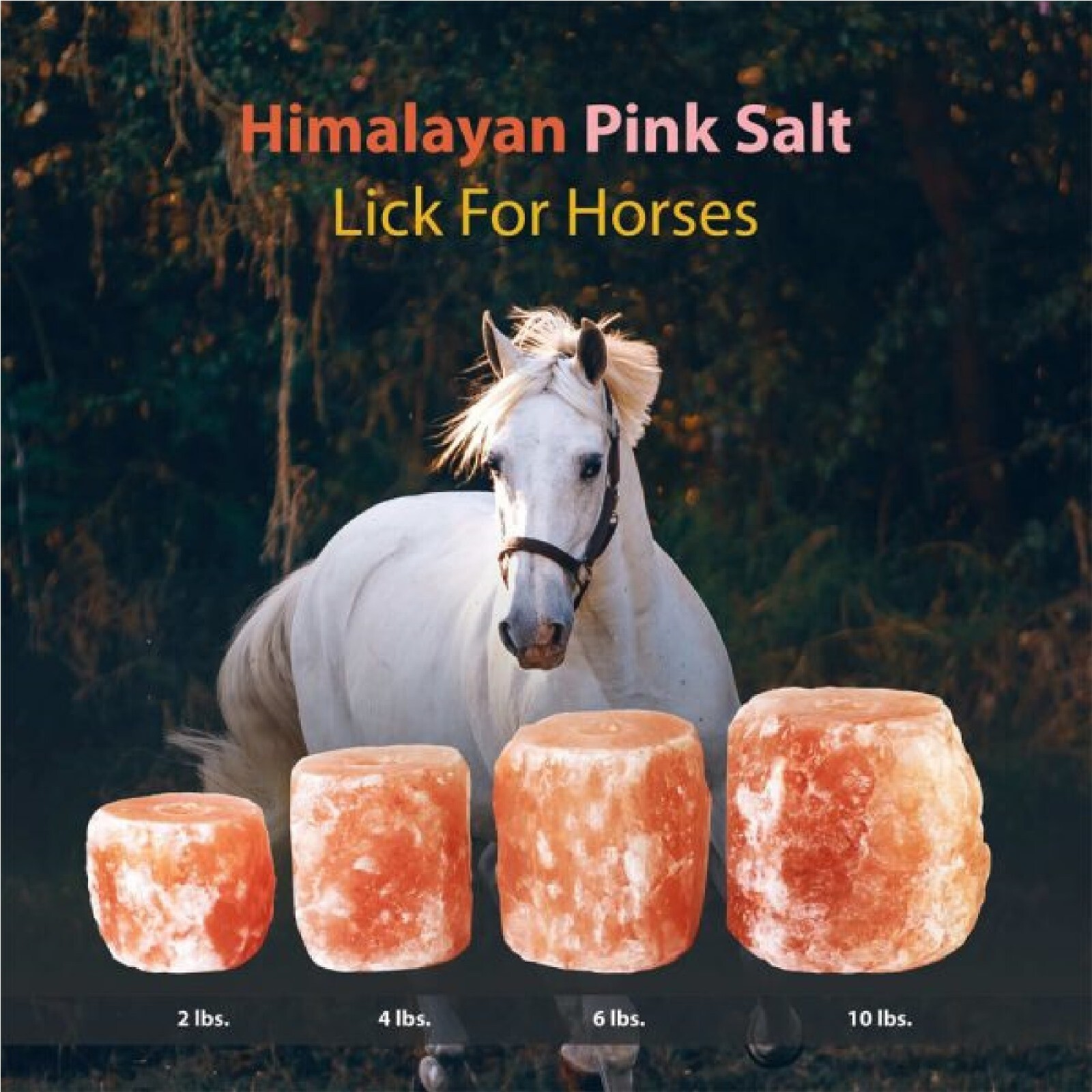 Himalayan 2 LB Pink Salt Lick for Horses - Natural Mineral Block Rock with Rope