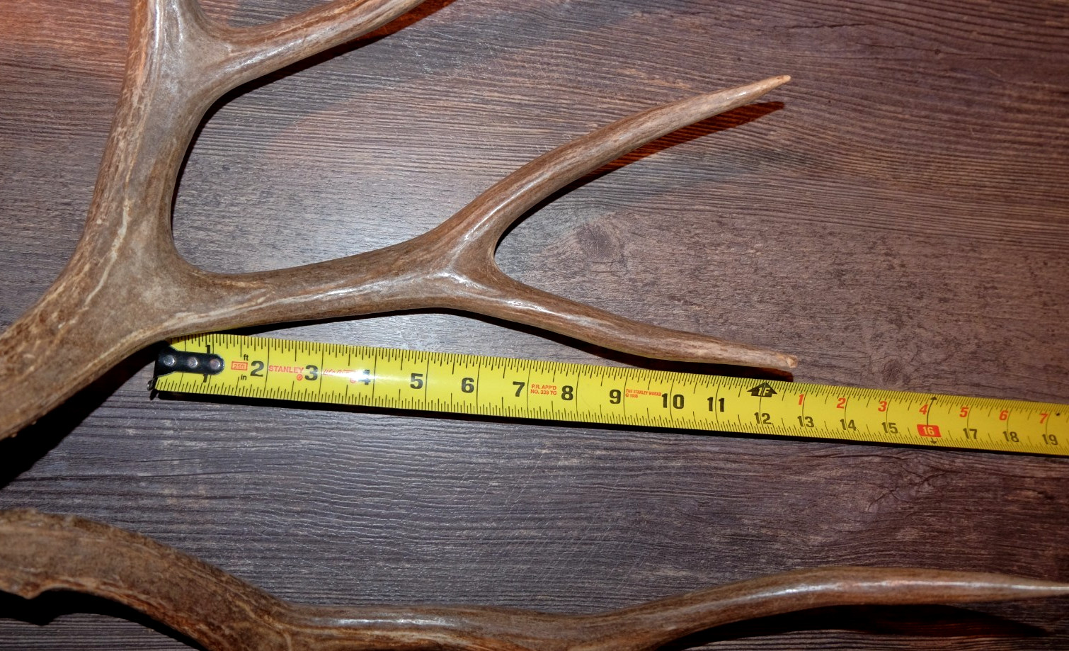 Nice Set Mule Deer Antlers Sheds Taxidermy Mount Cabin Decor Buck Horns