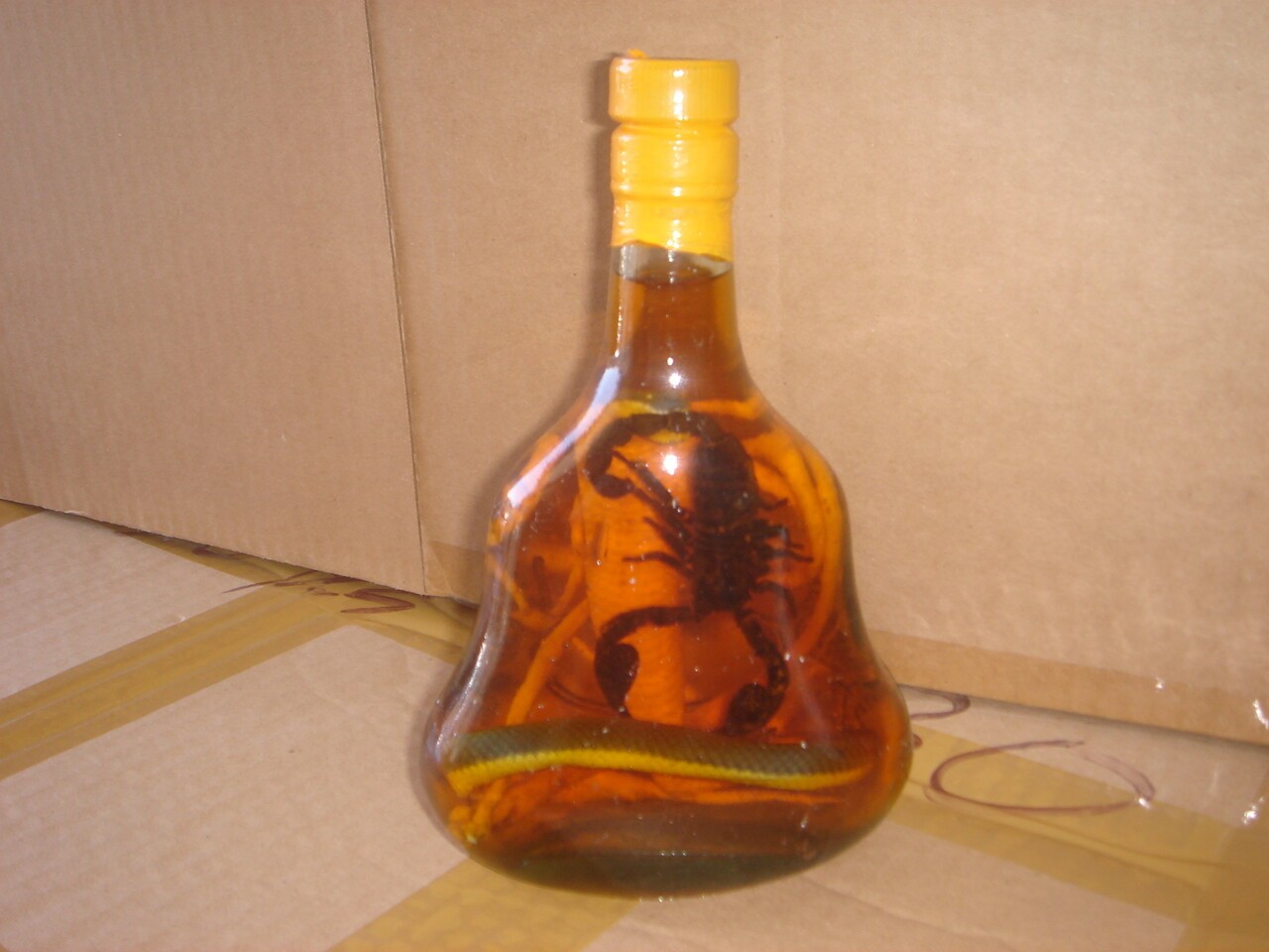 Real Cobra Snake And Scorpion In Large X O Glass Bottle 7" Tall