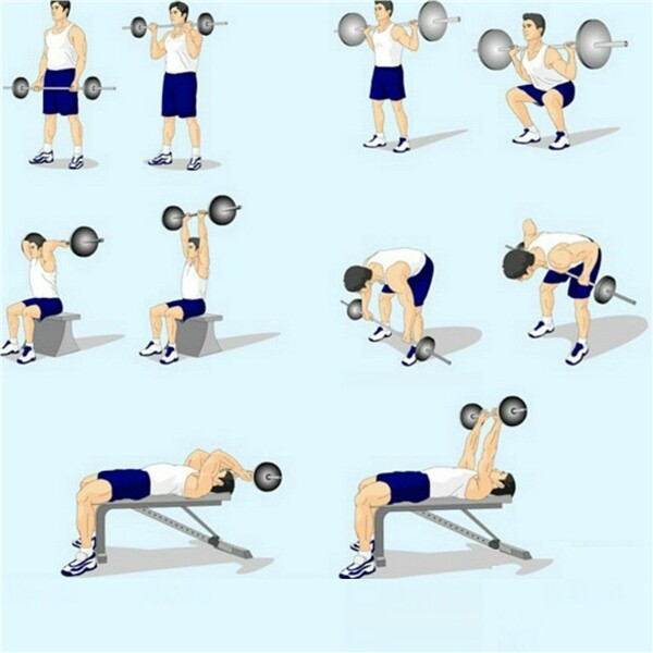 Olympic Barbell Set Dumbbell Weight Set 55lb Curl Bar for Gym Lifting Exercise