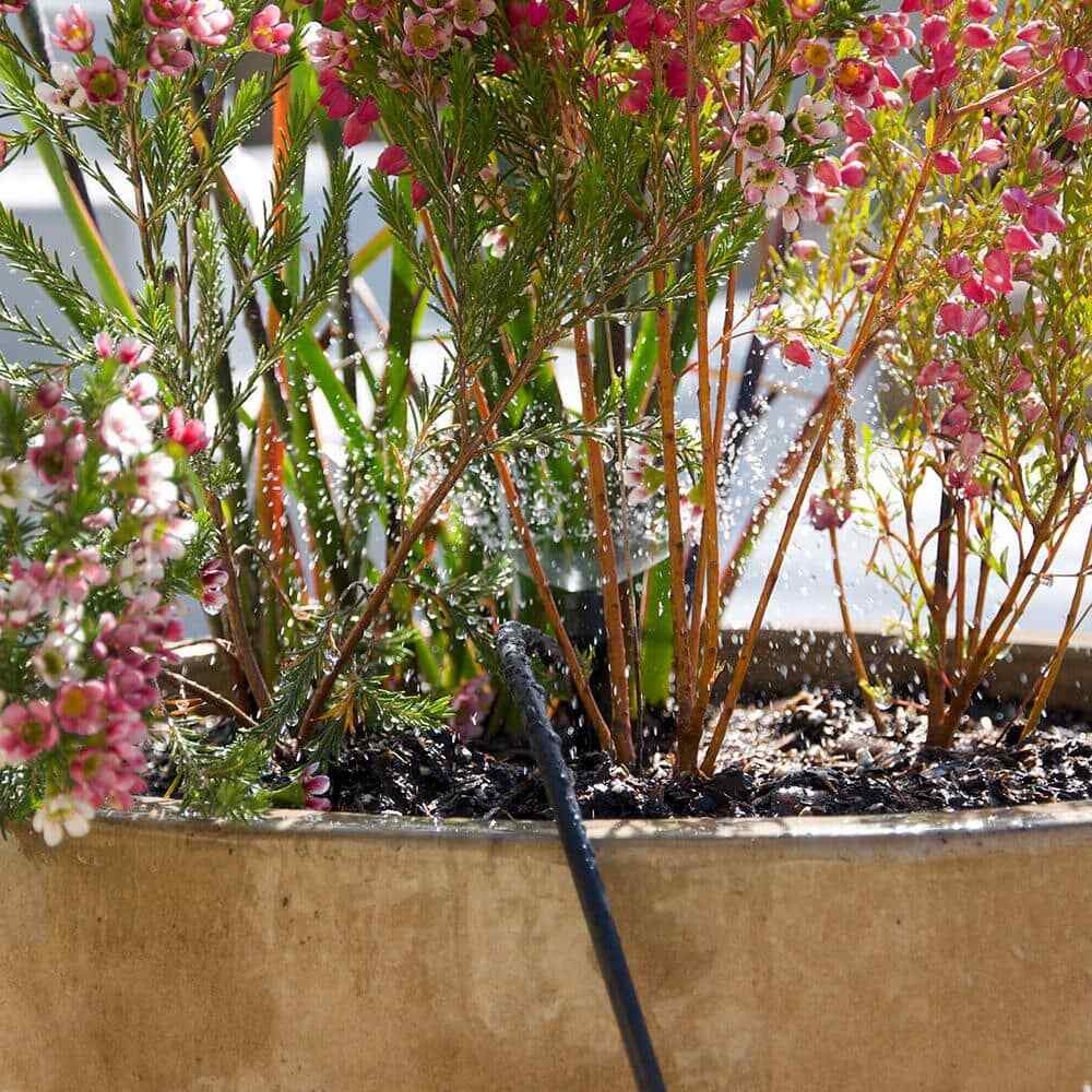 Poly Micro Drip Irrigation Tubing 0.25 in x 50 ft Emitter Line