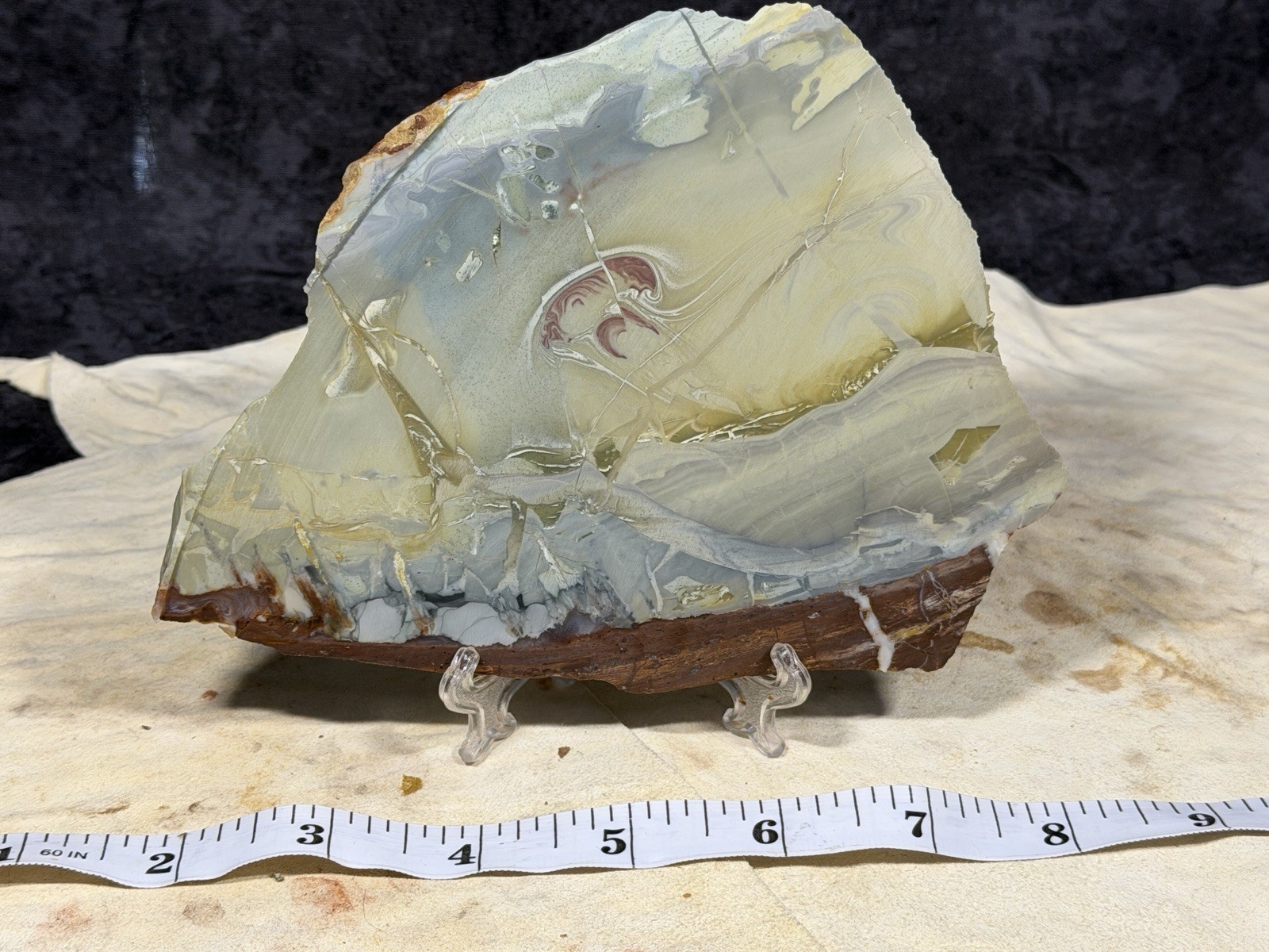 Large Willow Creek Jasper Slab, Lot #301