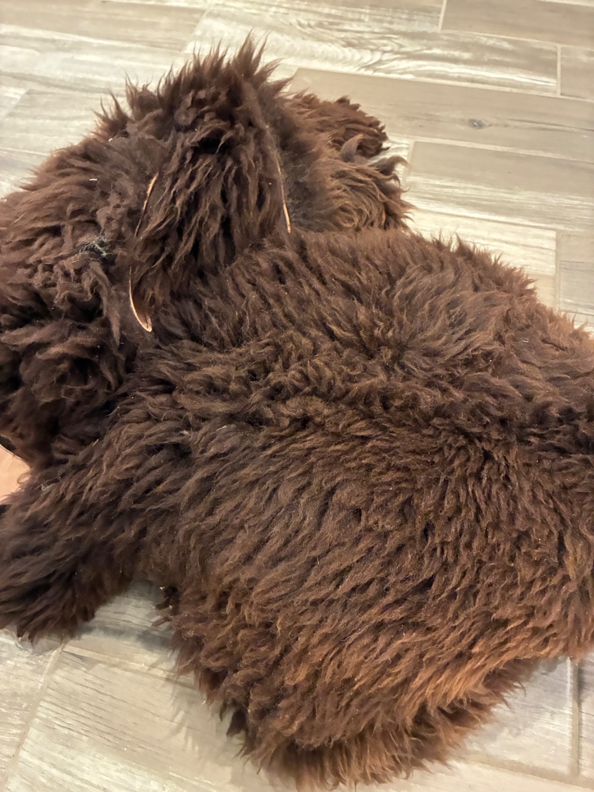 ½ LB Genuine Sheepskin Shearling Scrap Pieces Craft Fur Wool Leather DIY