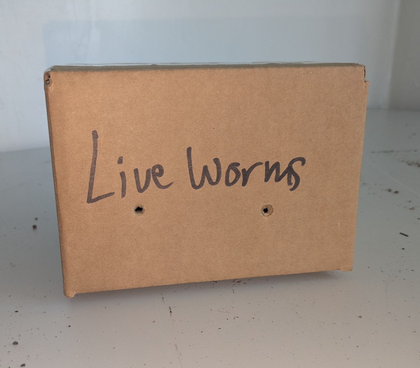 1 lb/ 1000 Ct Live Red Wiggler Composting Worms - Eisenia Fetida-live delivery