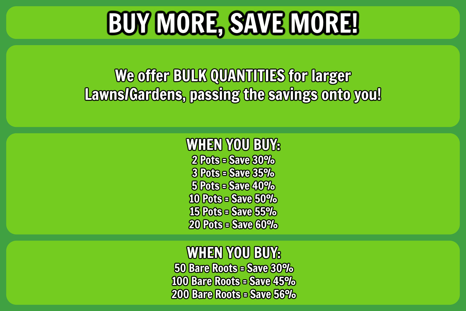 Live MESA RED / GAILLARDIA x Grandiflora Plant - [Pint Pot] - Perennial