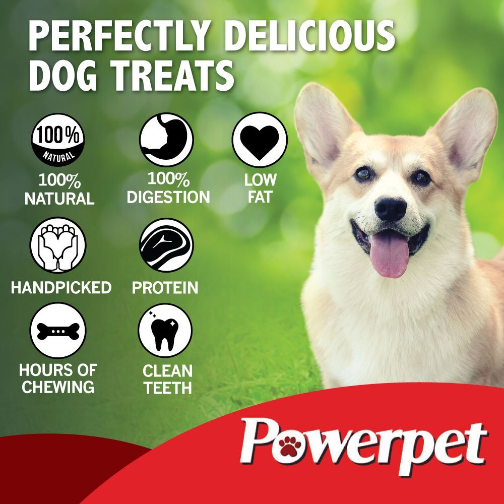 All Natural Beef Cow Ears DOG Treats in bulk Natural Flavor