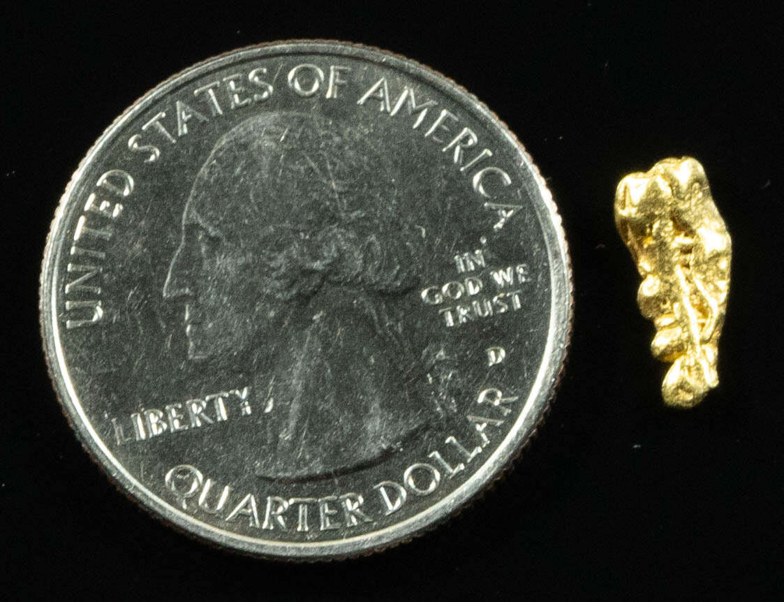 L-44 Alaskan BC Dendritic Exotic Shaped Gold Nugget "Special Collection" .49 Gra