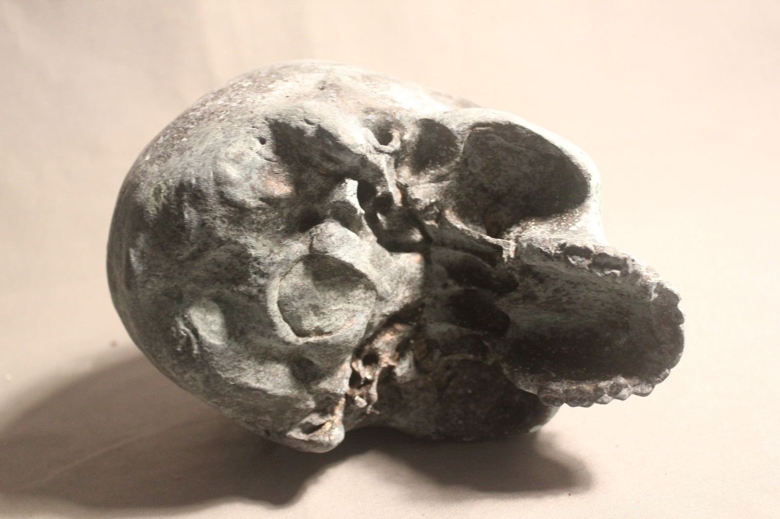 Human Skull Anatomical Medical Death Oddity Theater Doctor Funeral Postmortem