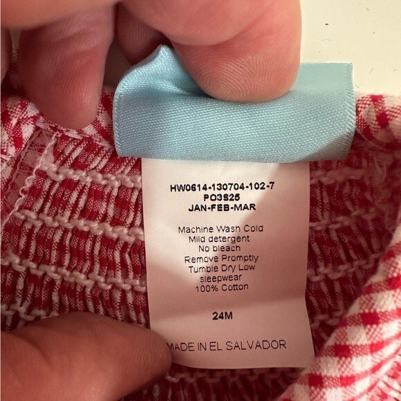 Classic Whimsy Girls Strawberry & Vine Smocked Gingham Red Checked Dress