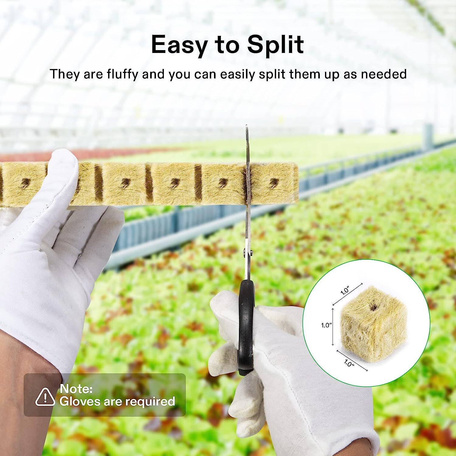 VIVOSUN 1" Rockwool Cubes,4 Sheets of 200 Plugs,for Rooting, Cuttings, Plants