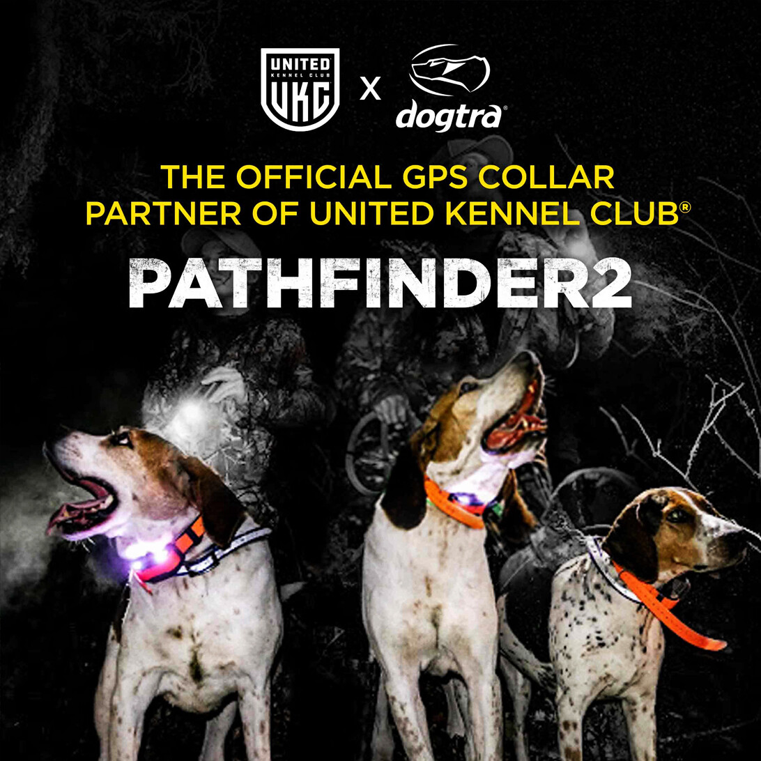 Dogtra PATHFINDER2 GPS Dog Collar Tracking Only Receiver LED Locate Light