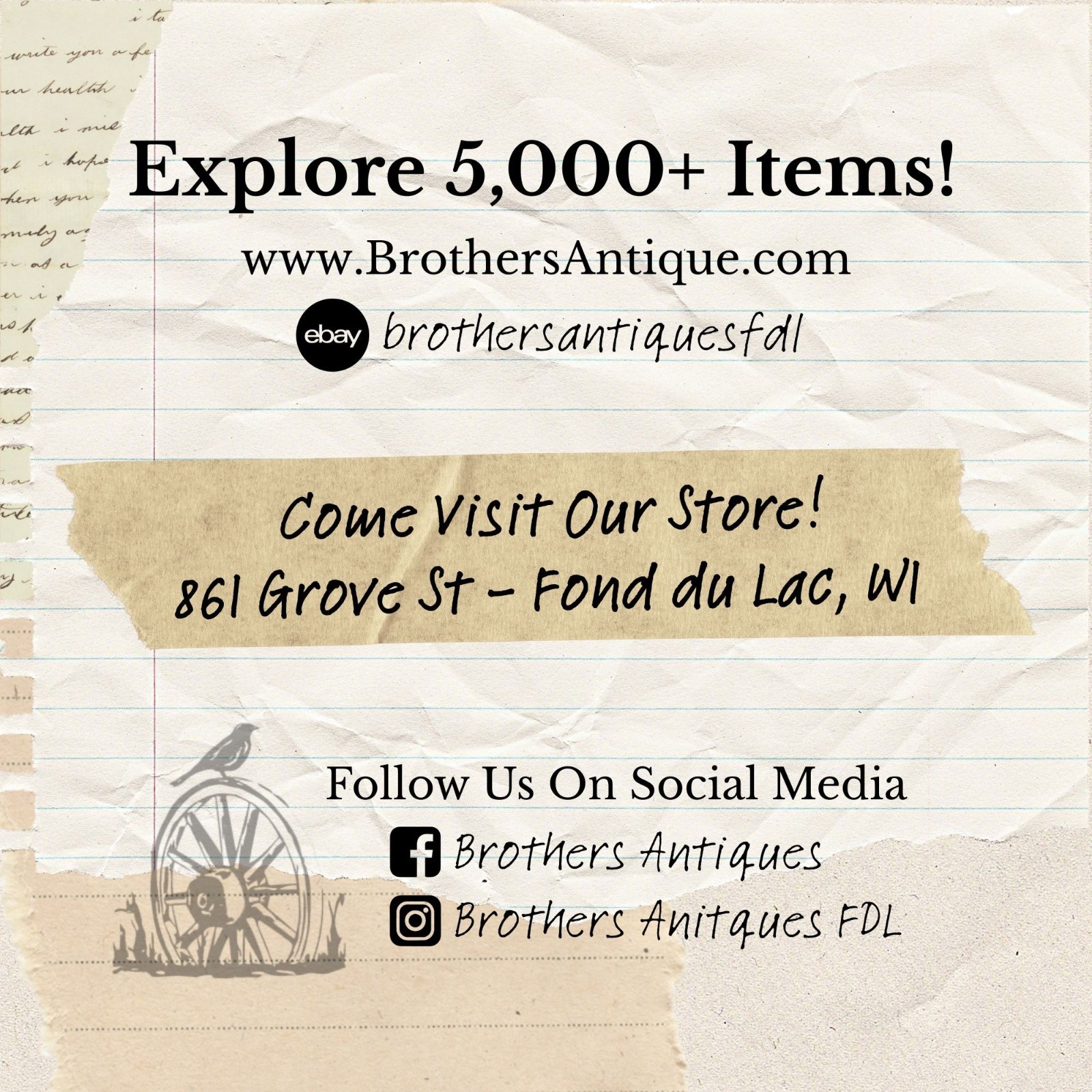 Vintage Tasco Microscope Slides Scientific Homeschool Lot Animals Plants Fibres