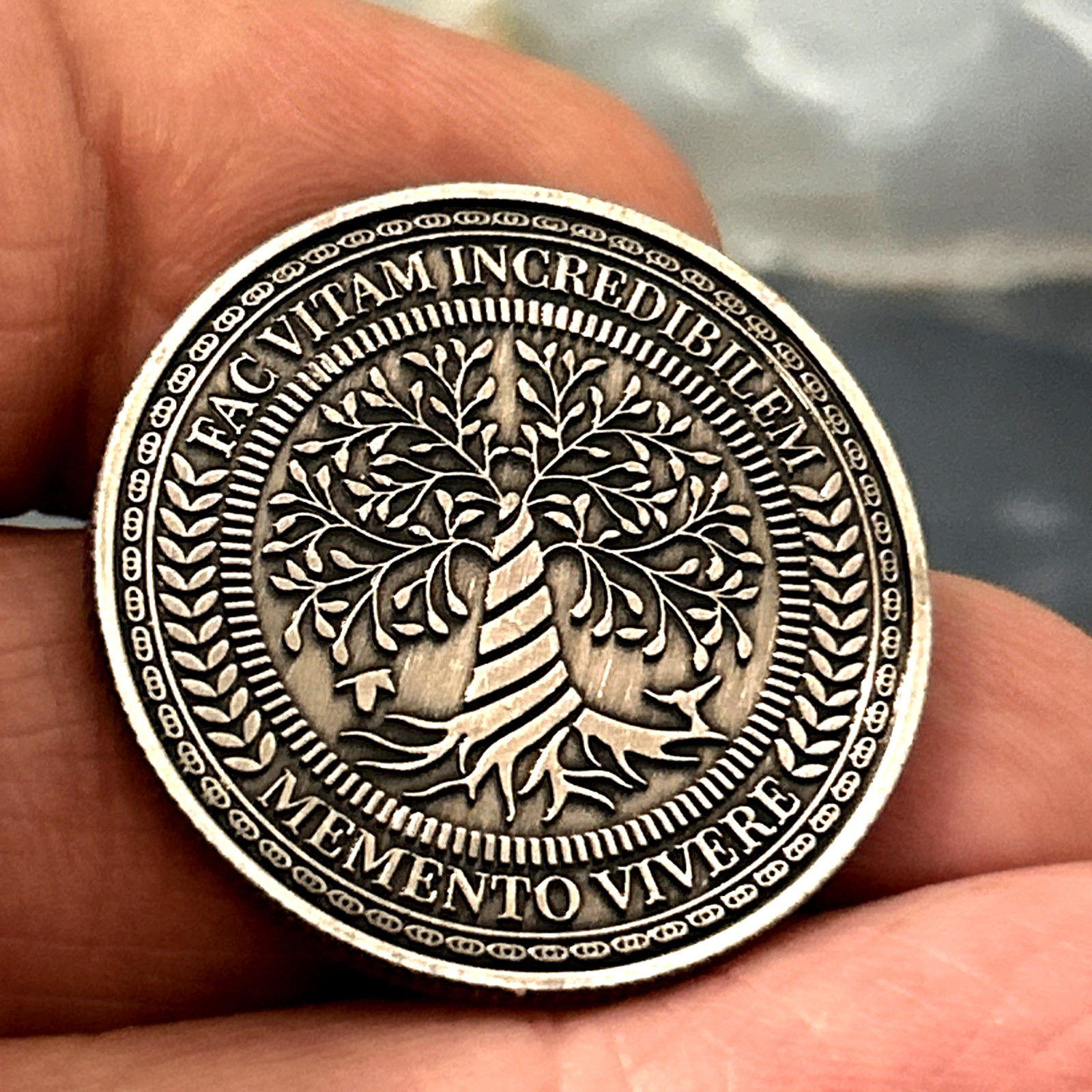 Memento Mori - Tempus Fugit Skull Lucky Pocket Piece Coin (1 PC)