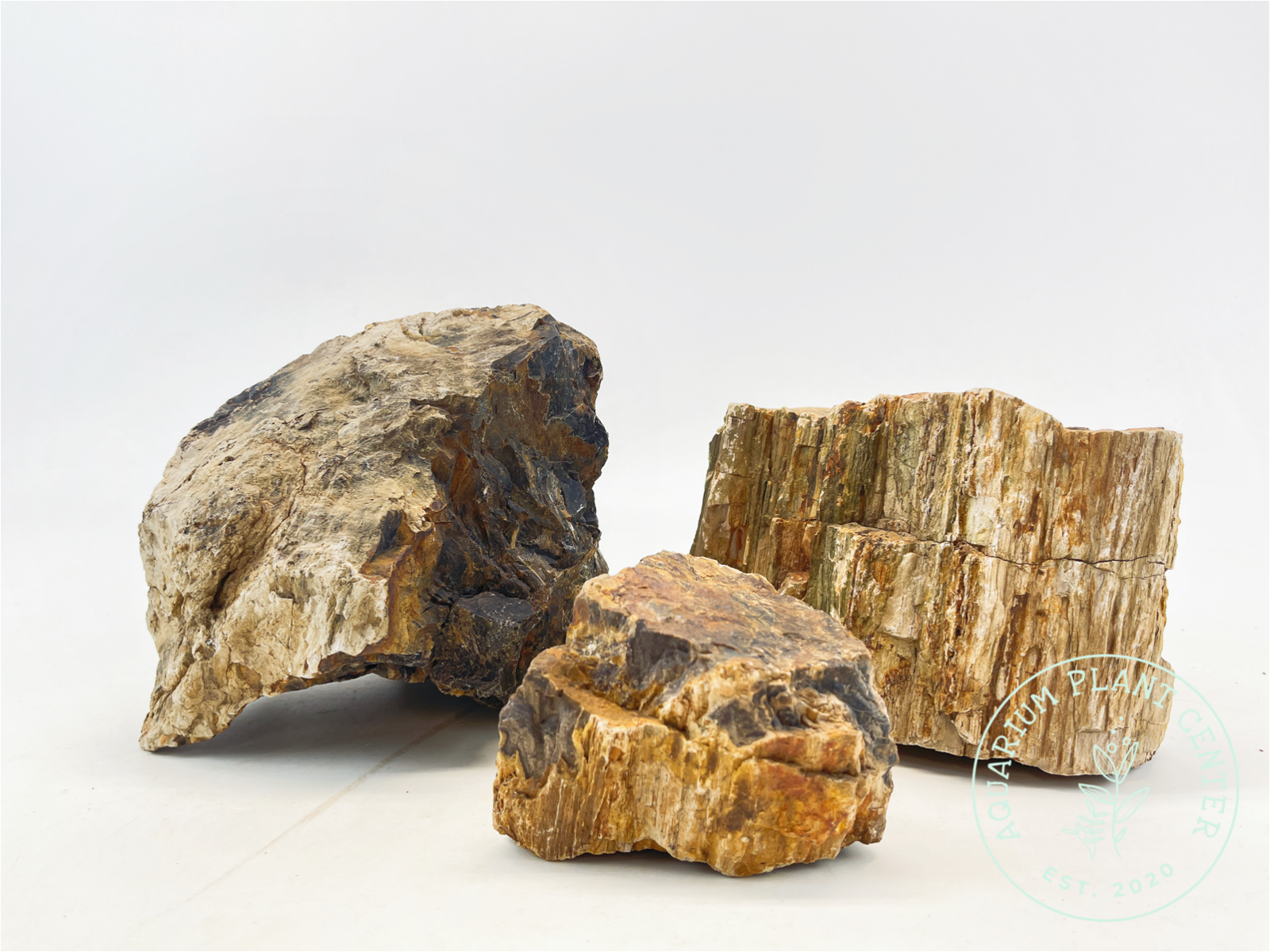 Petrified Wood Stone / Planted Aquarium / Decoration / Hardscape / Aquarium