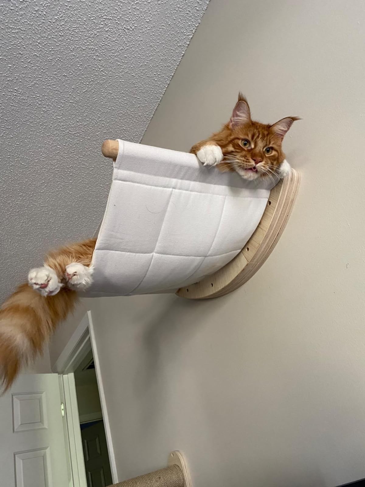 Cat Hammock Wall-Mounted Cat Bed Cat Climbing Wall Cat Furniture for Indoor Cats