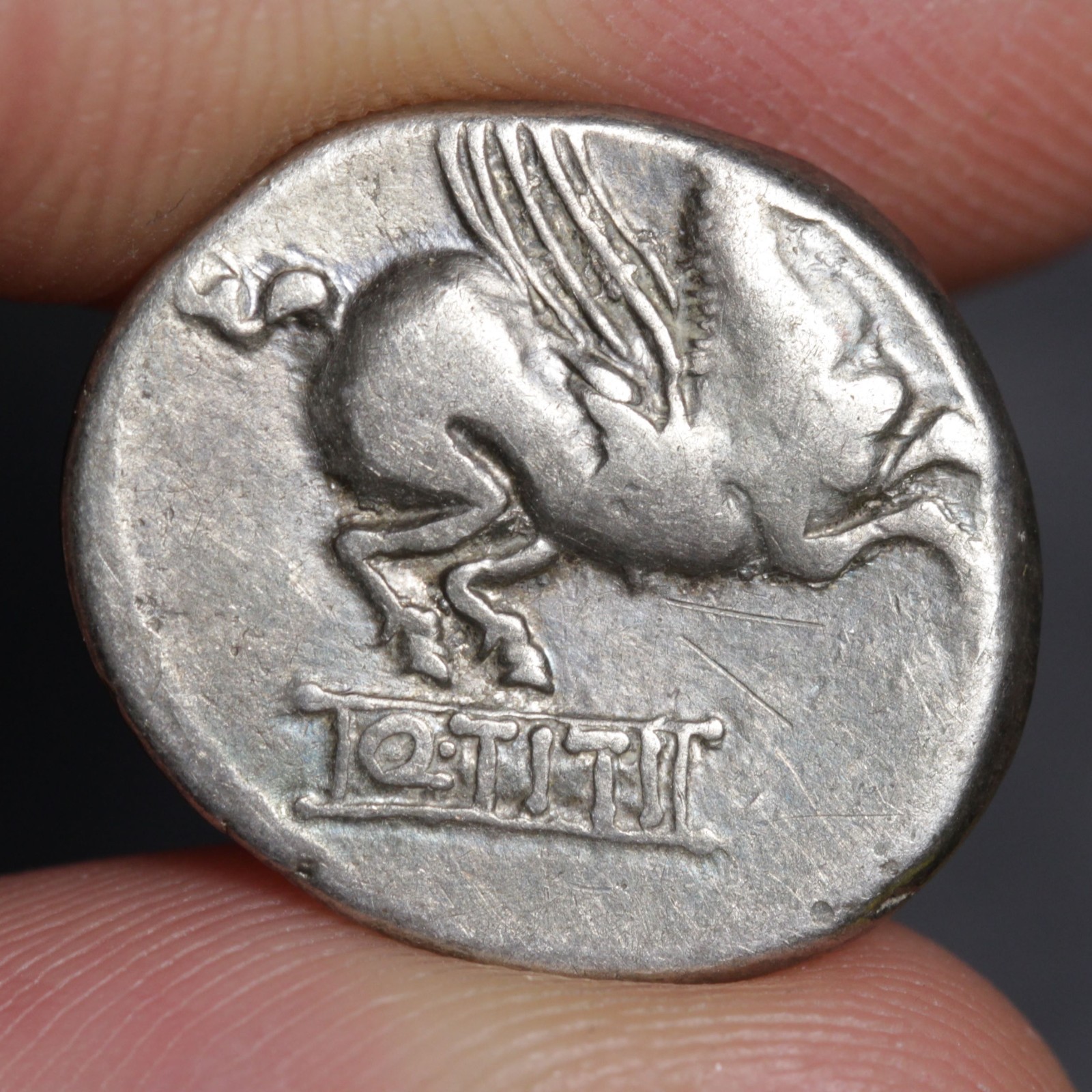 Pegasus Denarius Ancient Roman Republic Silver Coin 90BC Q Titius Mutinus