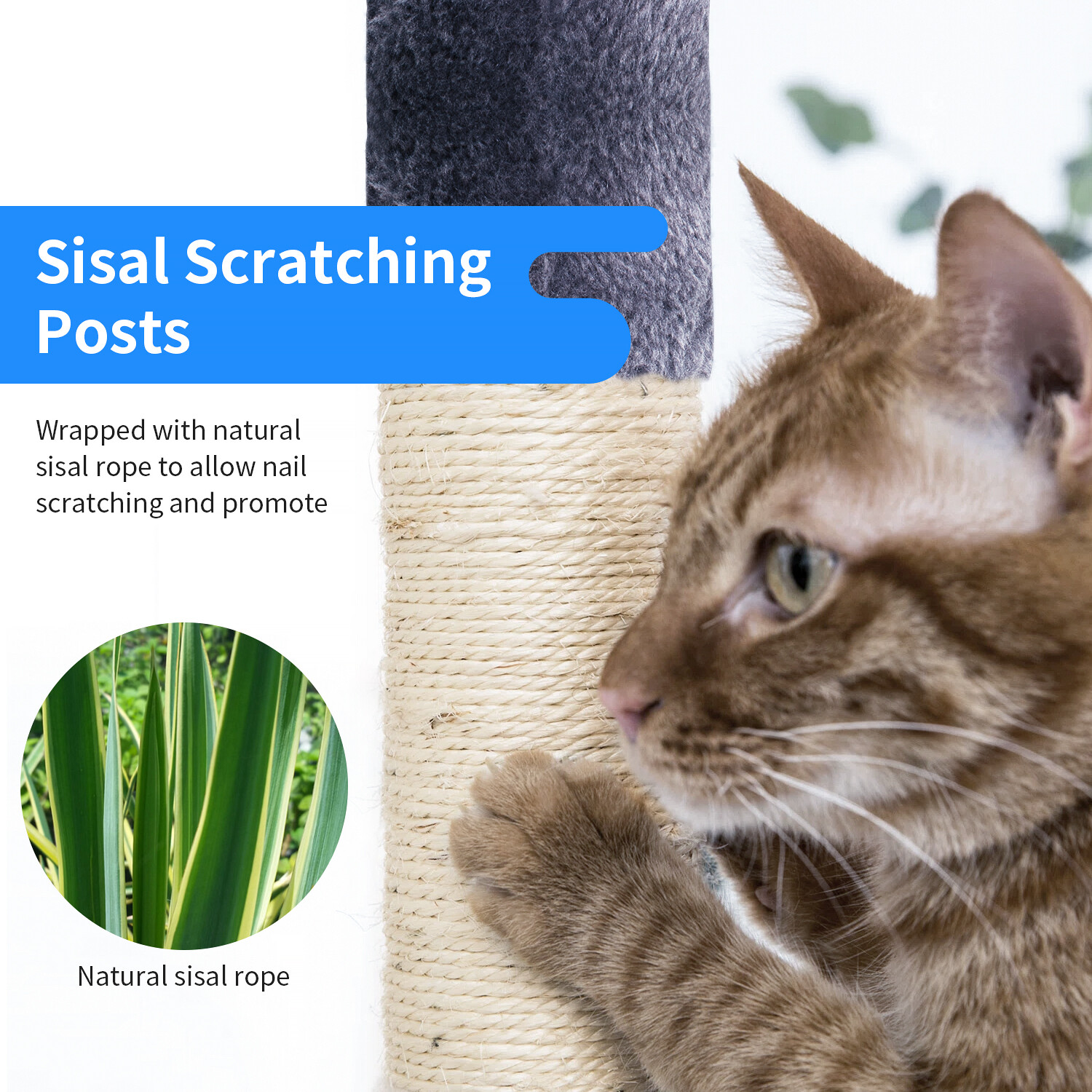 BestPet 36 inches Cat Tree for Indoor Cats Cat Tower with Scratching Posts Multi