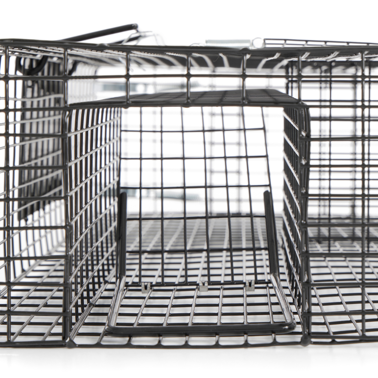 Rugged Ranch RATTR Ratinator Live Rat Squirrel Chipmunk Metal 2 Door Trap Cage