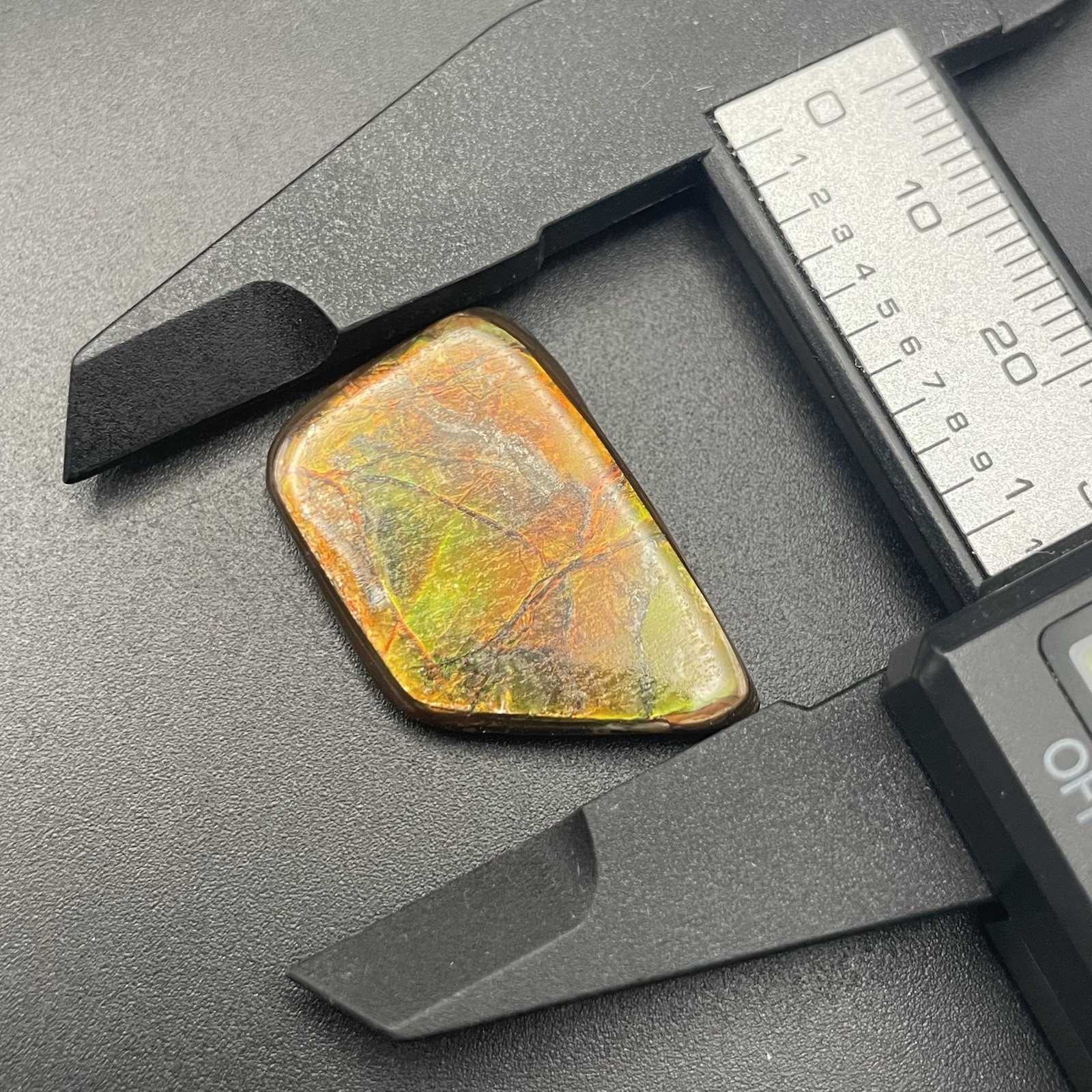 VIBRANT Ammolite Gemstone Fossil Alberta Canada Colorful High Energy Stone