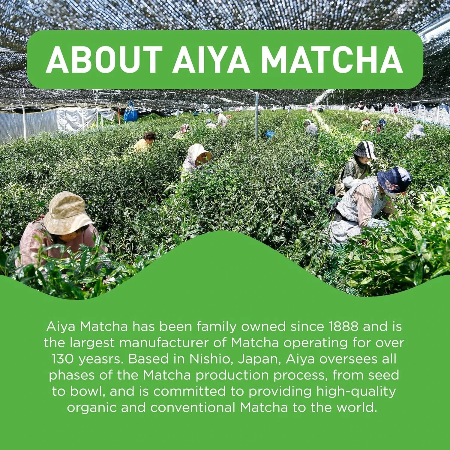 Aiya Matcha Tea Ceremonial Grade 30 Gr. Exp. 8-31-2027