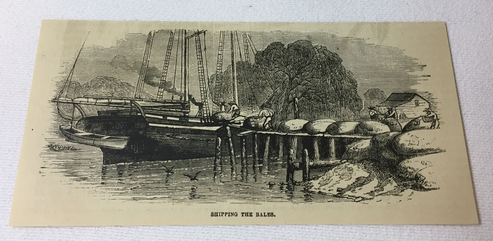 1880 magazine engraving ~ COTTON ~ SHIPPING THE BALES