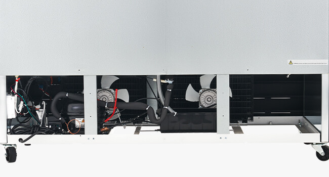 53" ETL Commercial Merchandiser 2 Glass Door Cooler Display Refrigerator 40 CF